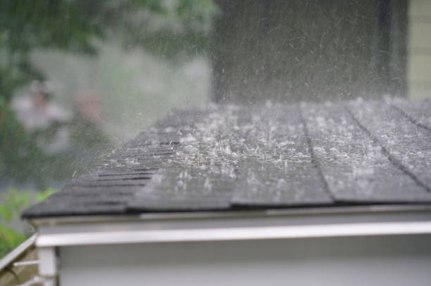 Emergency Roof Repair in Colony Park, PA